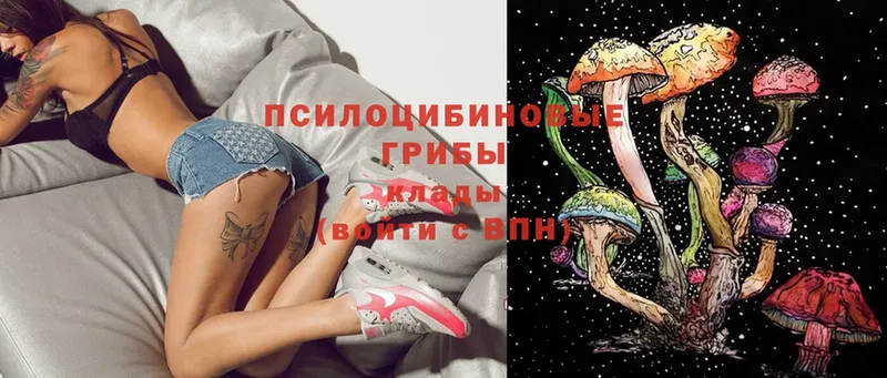 Псилоцибиновые грибы MAGIC MUSHROOMS  где купить наркоту  OMG онион  Билибино 